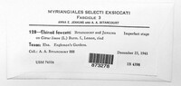 Elsinoe fawcettii image